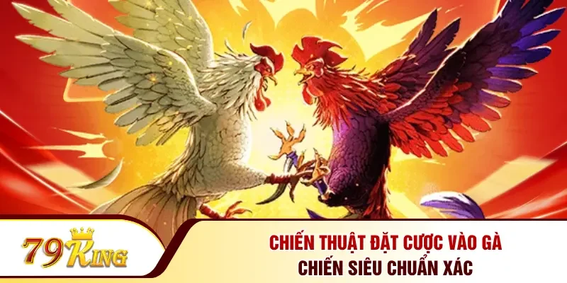 Chiến thuật đặt cược vào gà chiến siêu chuẩn xác 